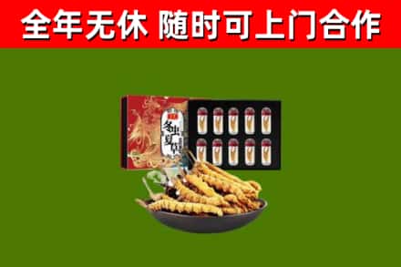 商丘市回收冬虫夏草价格